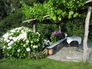 Garten der Casetta im Juni
